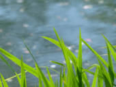 image99